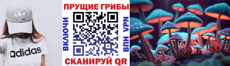 Галлюциногенные грибы Psilocybe  Купить где  Новотроицк 