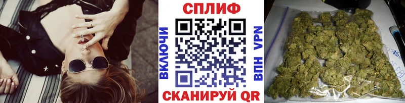 Бошки Шишки VHQ  Купить закладки  Новотроицк 